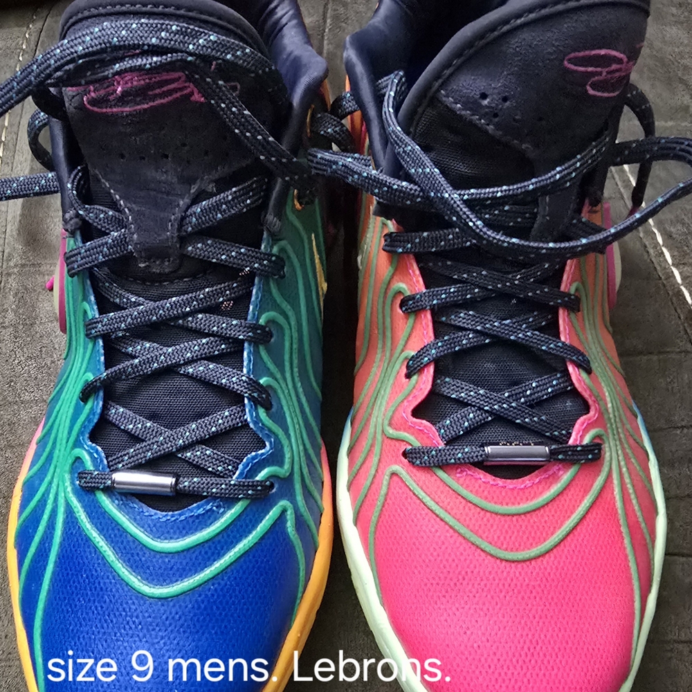 Nike Lebron Multicolor Basketball Shoes